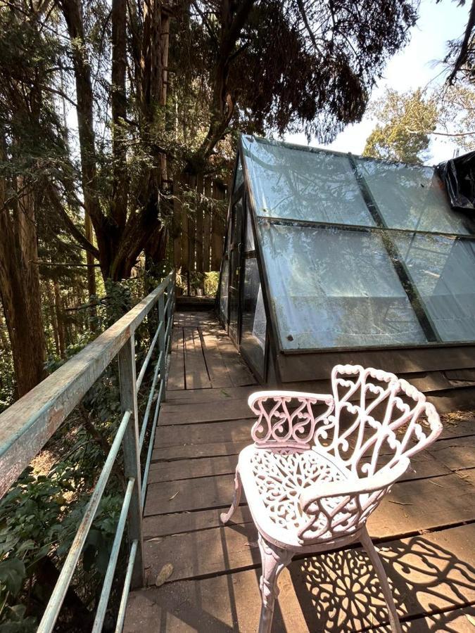 Bob'S Woodside Bungalow Hotel Ooty Exterior photo
